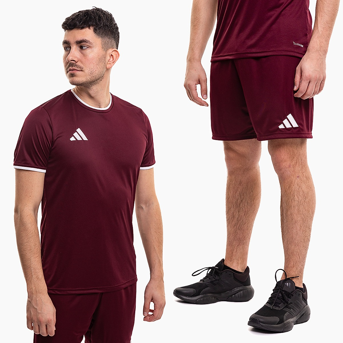adidas Herren Sportset Trikot Shorts Entrada 26 JZ2507/JZ2514
