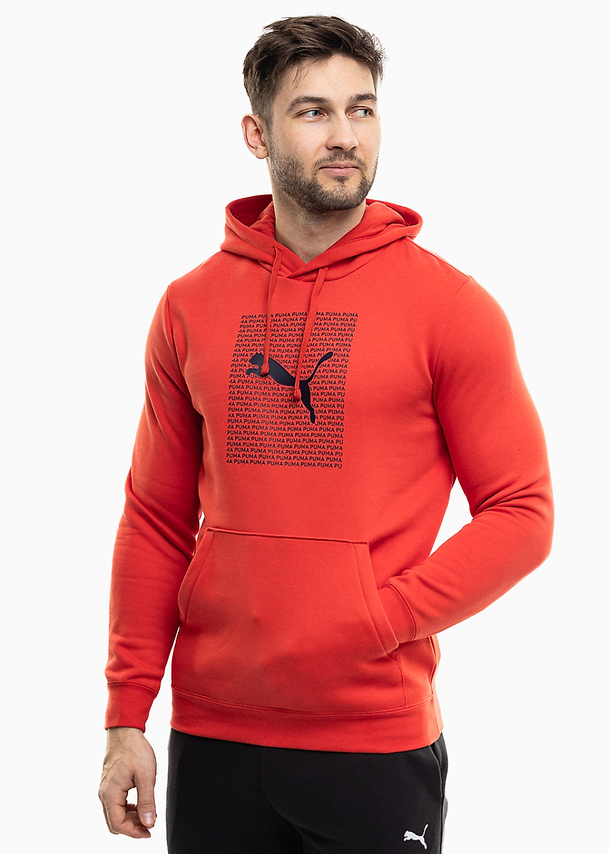 PUMA Bluza męska Ess Logo Lab Hoodie FL 684669 15