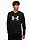 Bild von Under Armour Bluza męska UA Rival Terry Logo Crew 1370391 001 Produktvariante