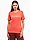 Bild von Champion Koszulka damska SS Tee 117534 PS004 Produktvariante