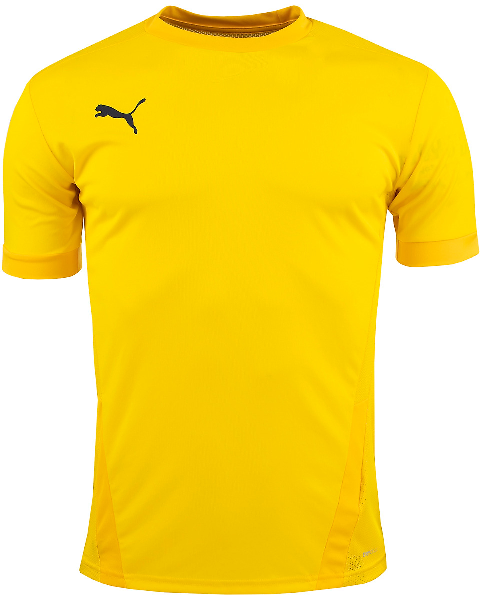 PUMA Koszulka dla dzieci  teamGOAL 23 Jersey 704160 07