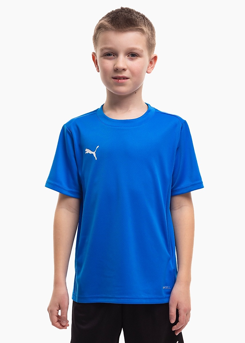 Kinder Trikot Puma TeamGoal Jersey 658637 02