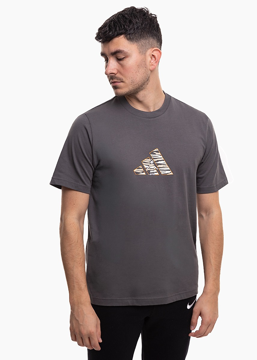 Herren T-Shirt adidas Camo Expolorer Graphic JZ7501
