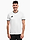 Bild von Koszulka męska adidas Entrada 26 Jersey JZ2508 Produktvariante