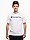 Bild von Champion Koszulka męska SS Tee 220256 WW001 Produktvariante