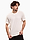Bild von Koszulka męska Champion SS Tee 220273 YS084 Produktvariante