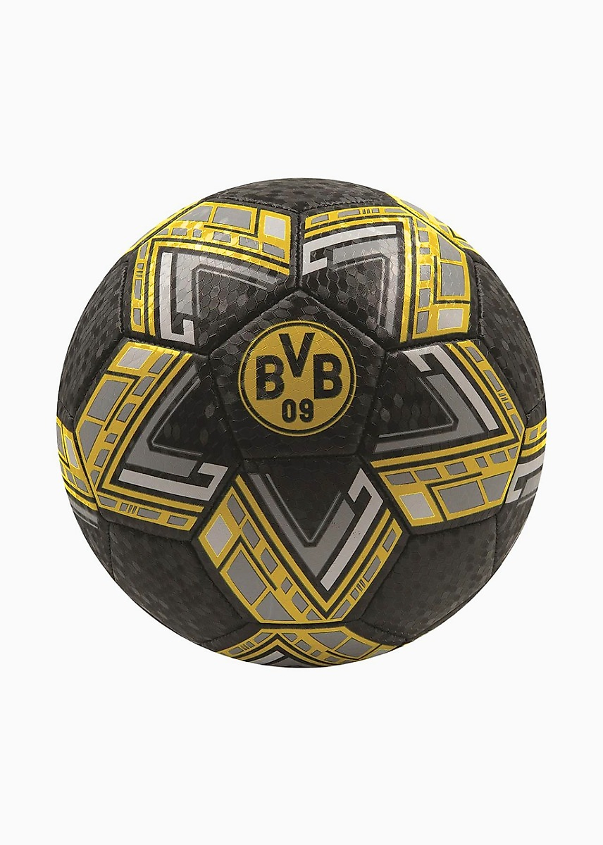 Fußball Borussia Dortmund 4004241