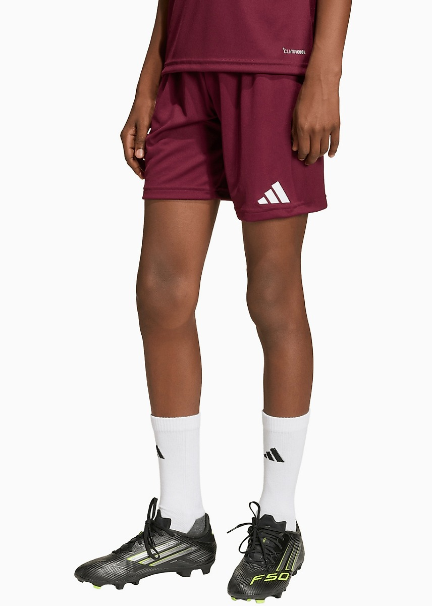 adidas Kinder Shorts Entrada 26 JZ6527