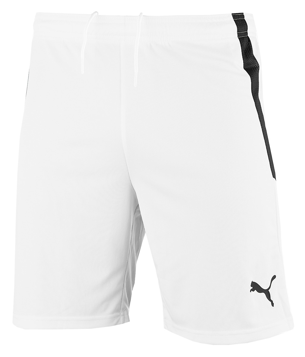 PUMA Herren kurze Hose teamLIGA 704924 04
